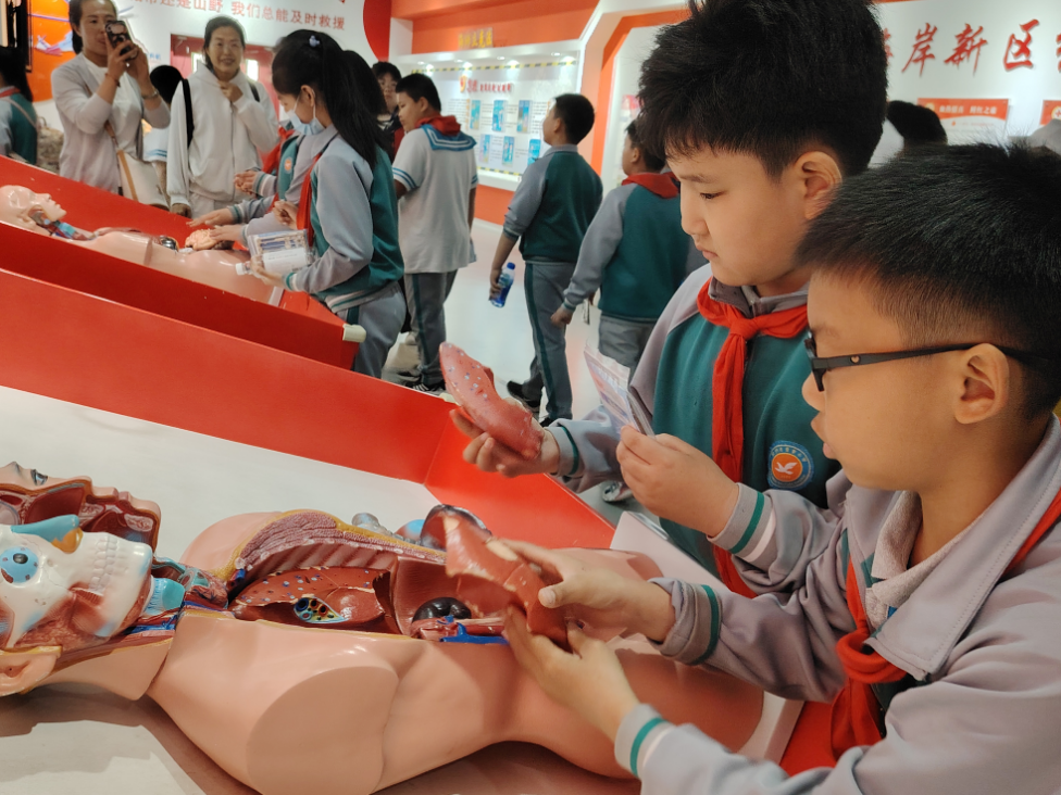 紅十字應(yīng)急救護(hù)培訓(xùn)基地